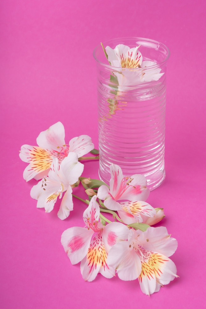 شامپو بدن مگنولیا هوبی hobby