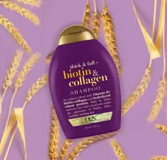 شامپو بیوتین او جی ایکس