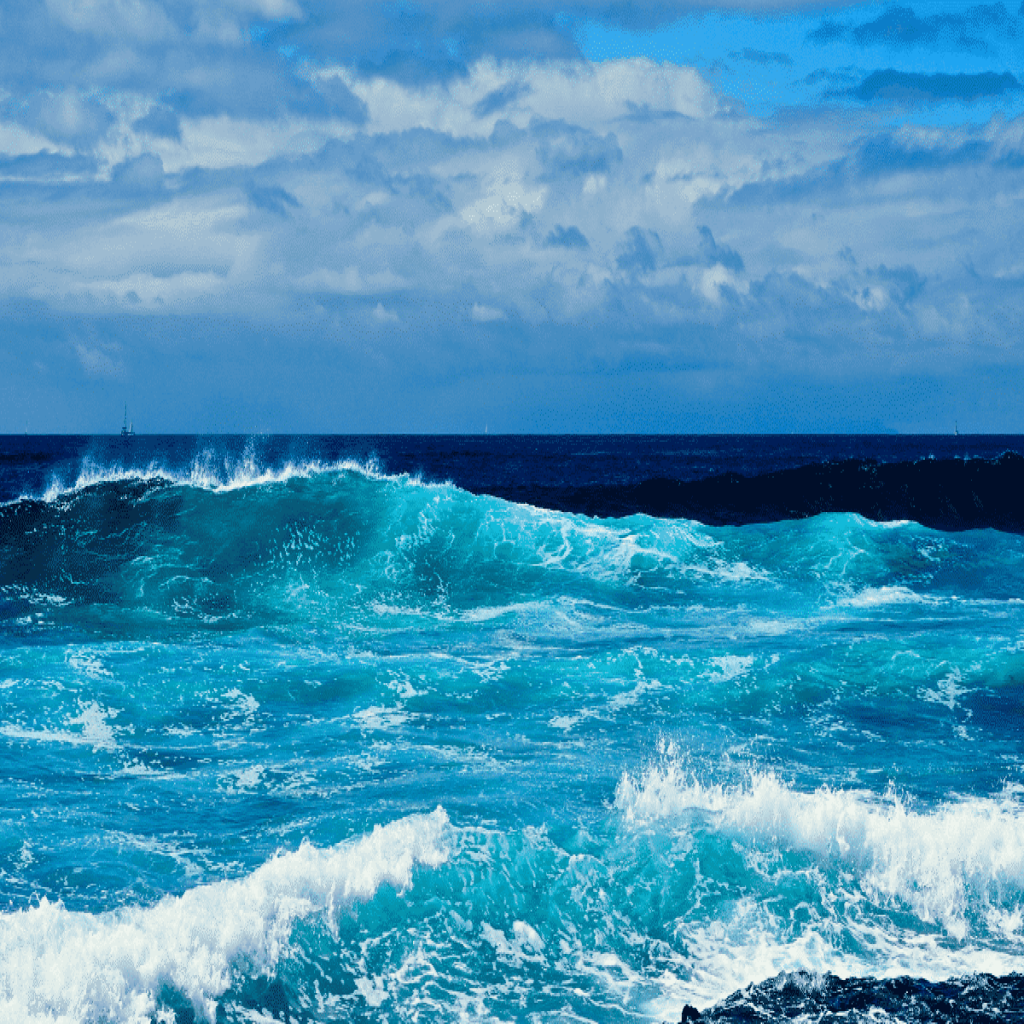 شامپو بدن بدون سولفات و پارابن بیومونتی Biomonti مدل Ocean حجم 1000 میل