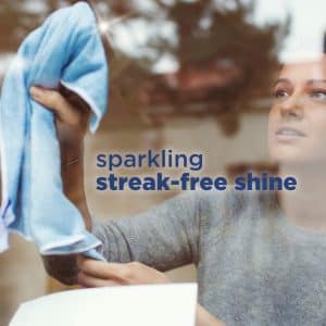 اسپری شیشه پاک کن استونیش