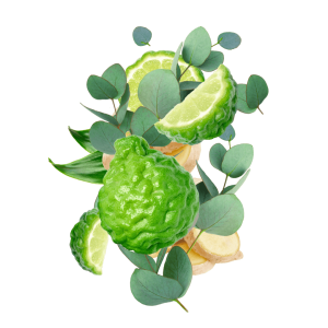 شامپو بدن استونیش مدل Green Earth