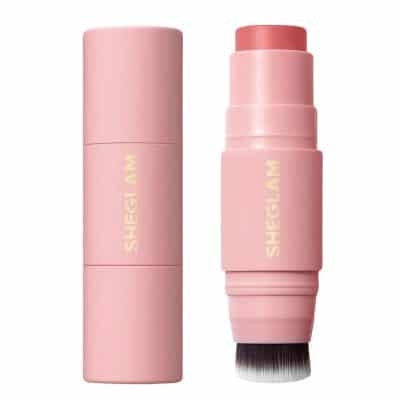 رژ گونه استیکی شیگلم dreamer