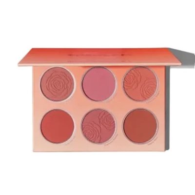 پالت رژ گونه شیگلم