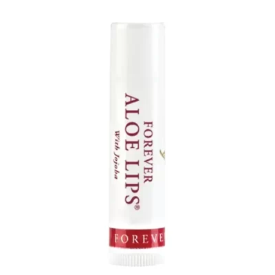 بالم لب فوراور