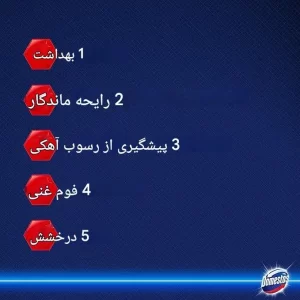 جرم گیر توالت فرنگی دامستوس رایحه کاج