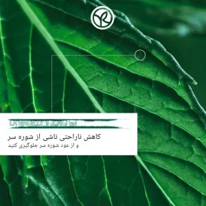 شامپو بدون سولفات ایوروشه ضد شوره