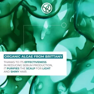 شامپو بدون سولفات ایوروشه مخصوص موهای چرب