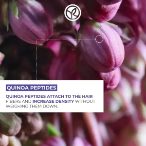 شامپو بدون سولفات ایوروشه حجم دهنده و تقویت کننده موهای ضعیف