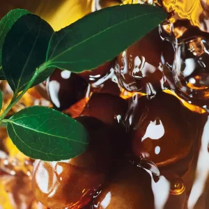 شامپو بدون سولفات ایوروشه ترمیم کننده موهای خشک و آسیب دیده