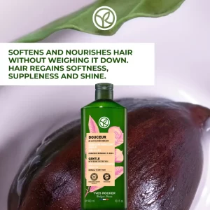 شامپو بدون سولفات ایوروشه موهای نرمال تا خشک